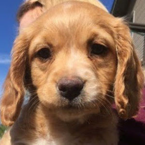 Meet your Posher, Madeleine